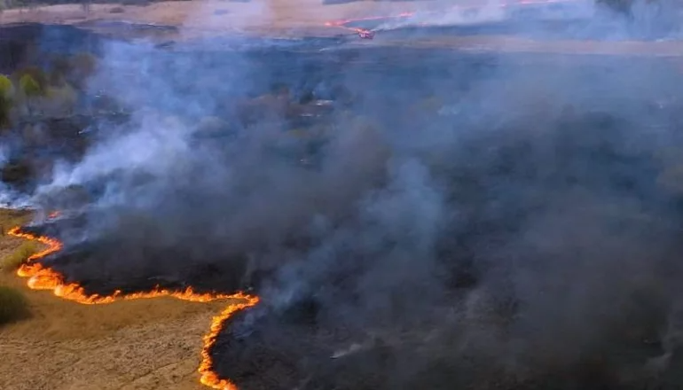 Más de 40 mil hectáreas fueron afectadas por incendios forestales