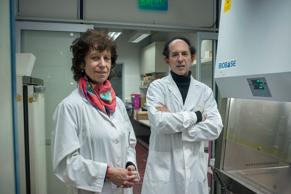 En busca del talón de Aquiles de las células tumorales más agresivas