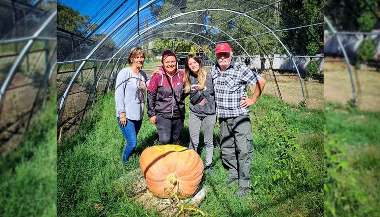 Cosecharon un zapallo de 56,5 kilos y lo llevarán a un torneo regional