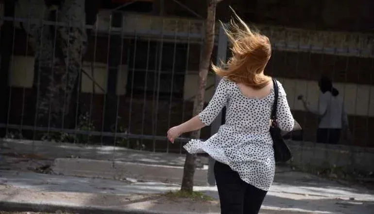 El norte y parte del centro de la provincia de verán afectados por vientos del norte