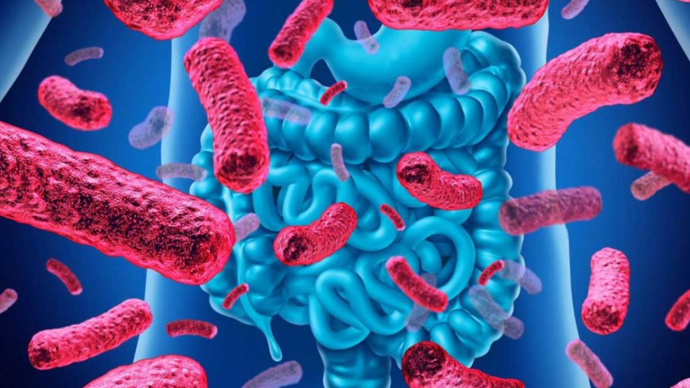 Microbiota y prevención de alergias infantiles