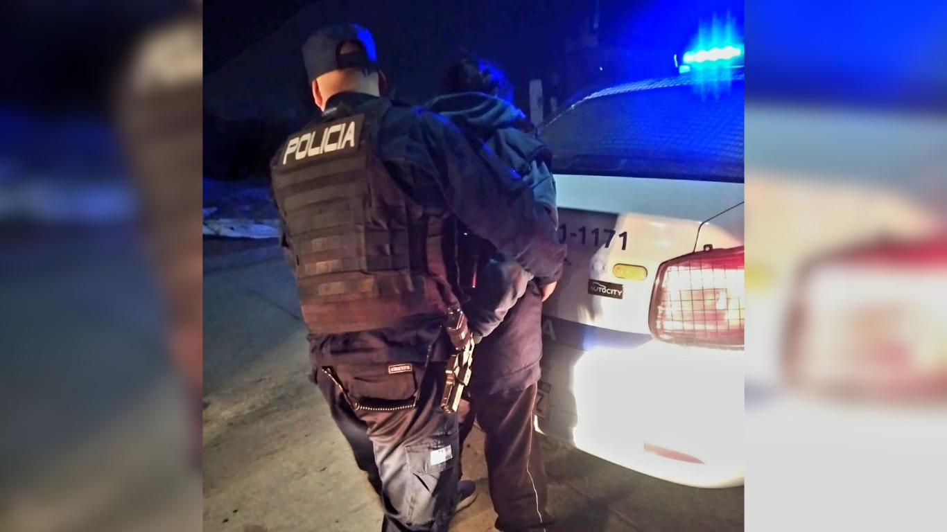 Demoraron a un hombre por agredir a su madre en Villa Mercedes