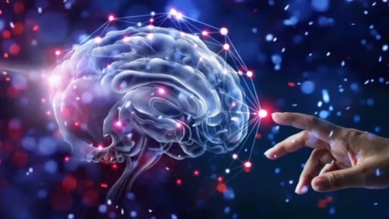 Día Mundial del Cerebro: cinco hábitos que ayudan a mantenerlo saludable