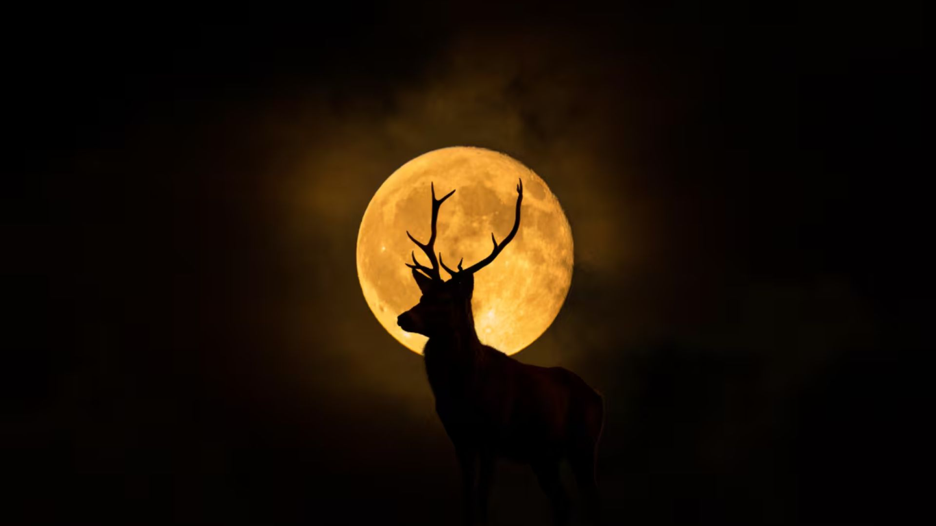 Llega la Luna del Ciervo: cuándo y cómo ver la luna llena más esperada de julio