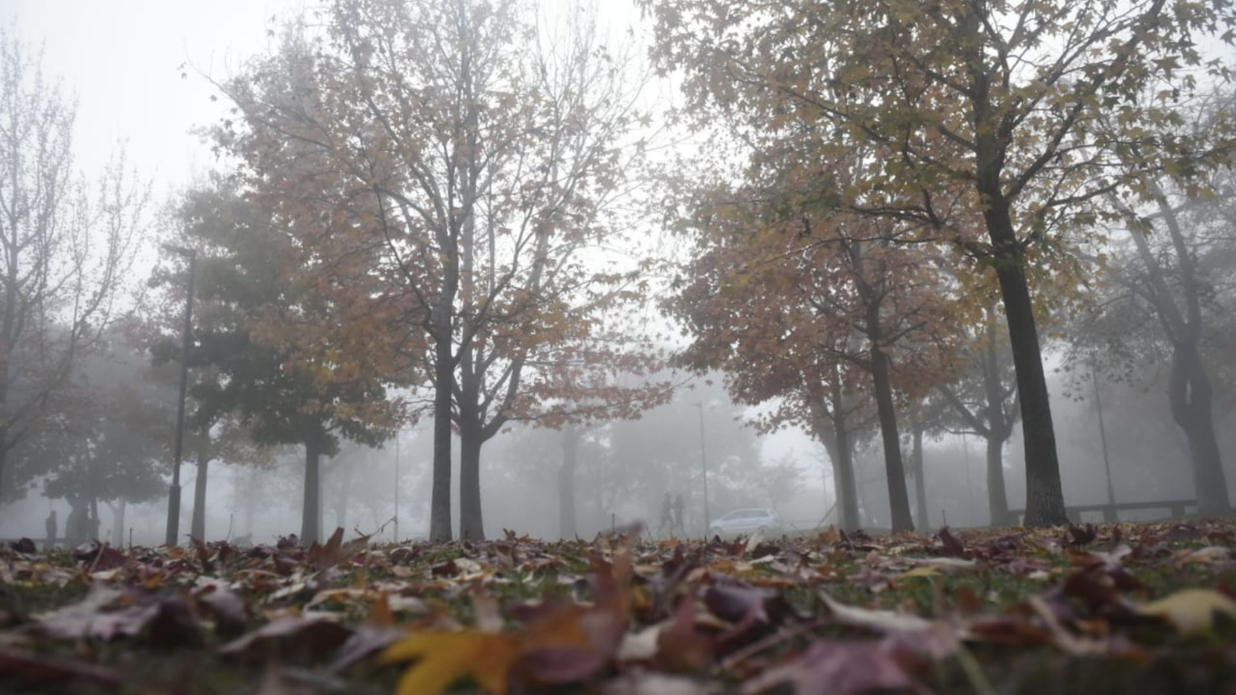 Pronóstico extendido: lunes con neblinas, posibles lloviznas y máximas de 18°C